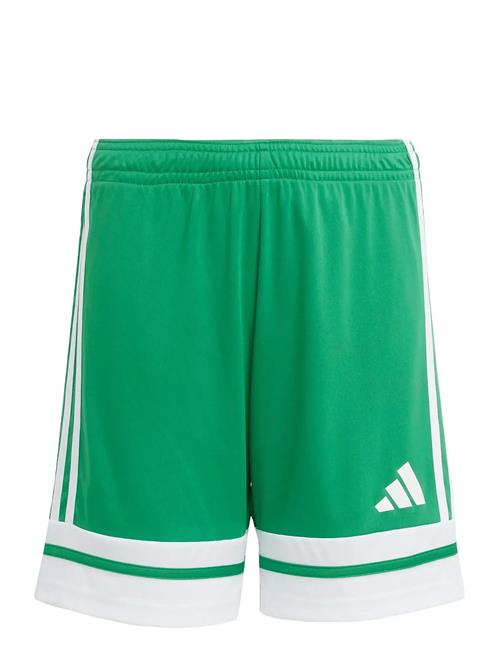 adidas Performance | Squa25 Sho Y | 164