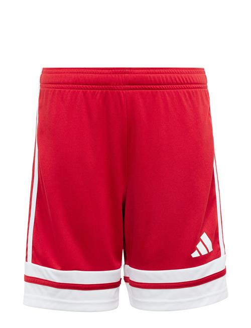 adidas Performance | Squa25 Sho Y | 164