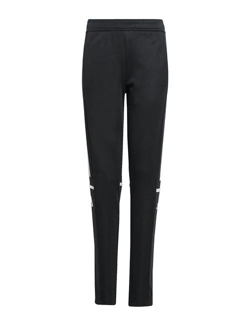 adidas Performance | Sq25 Tr Pnt Y | 164