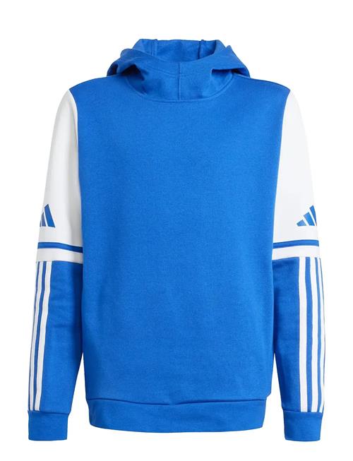 adidas Performance | Sq25 Sw Hood Y | 152
