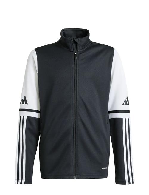 adidas Performance | Sq25 Tr Jkt Y | 176