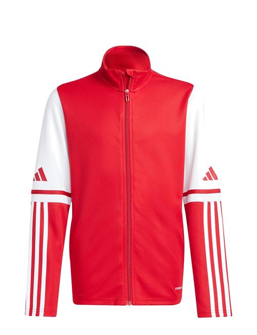 adidas Performance | Sq25 Tr Jkt Y | 152