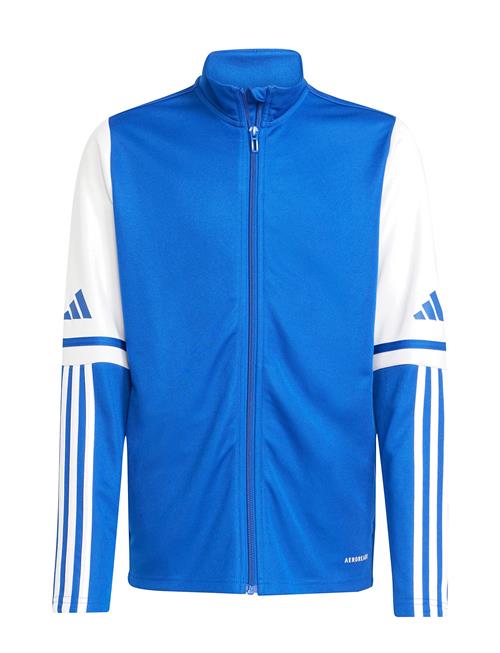 adidas Performance | Sq25 Tr Jkt Y | 152