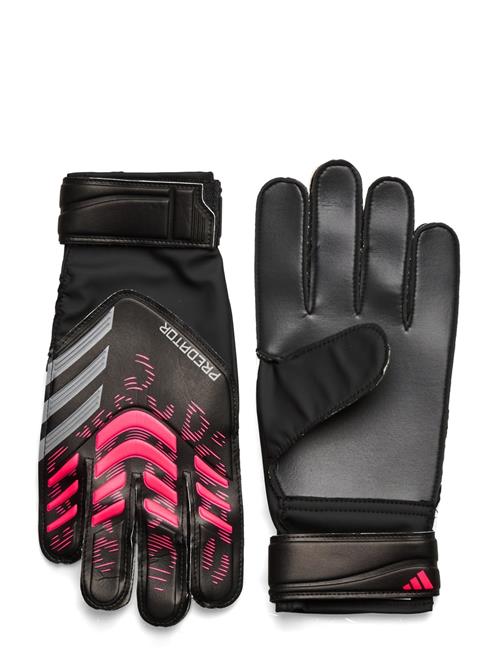 adidas Performance | Pred Gl Trn | 10