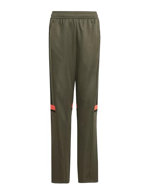 adidas Performance | Sq25 Tr Pnt Y | 176