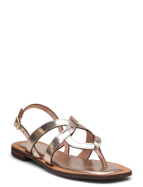 GEOX | D Sozy Qc C | 36