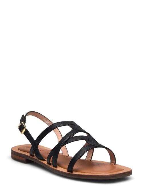 GEOX | D Sozy Qc A | 36