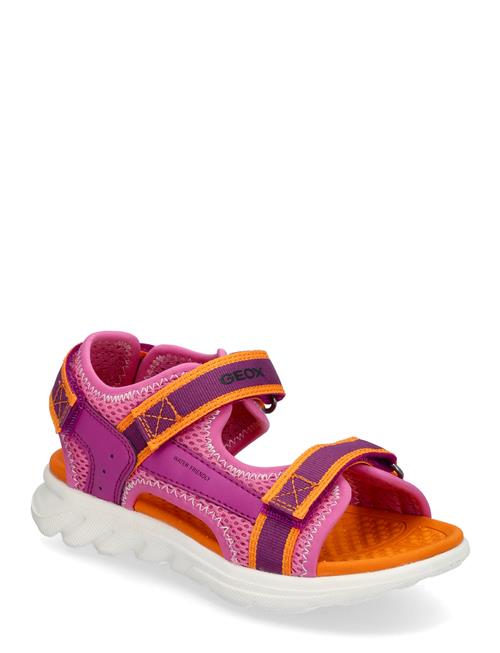 GEOX | J Sandal Airadyum Gi | 27
