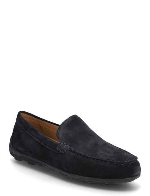 GEOX | U Spherica Ec16 A | 40