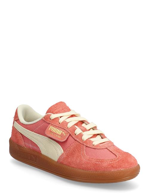 PUMA | Palermo Vintage | 36