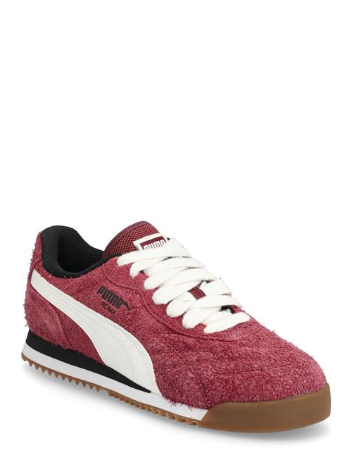 PUMA | Roma Anniversario Suede | 38.5