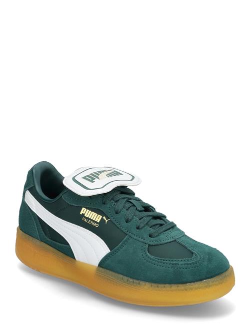 PUMA | Palermo Moda Tongue Wns | 42.5