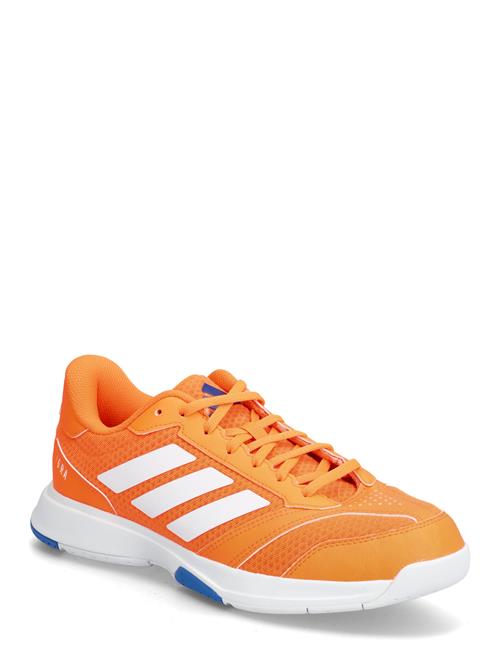 adidas Performance | Ligra 8 M | 43 1/3