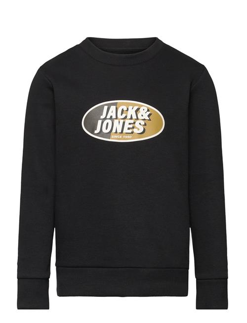 Jack & Jones | Jcoray Color Sweat Crew Neck Fst Jnr | 176