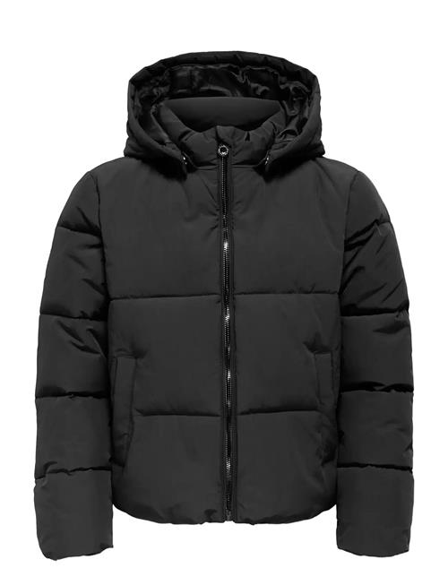 Kids Only | Kogdolly Life Sht Puffer Jacket Otw Noos | 140