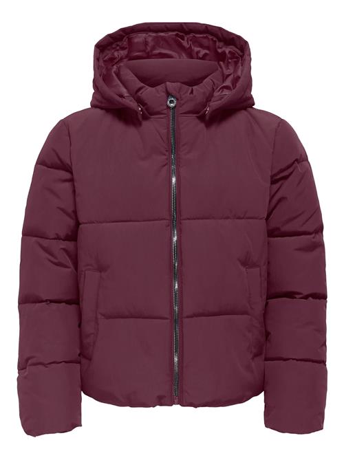 Kids Only | Kogdolly Life Sht Puffer Jacket Otw Noos | 152
