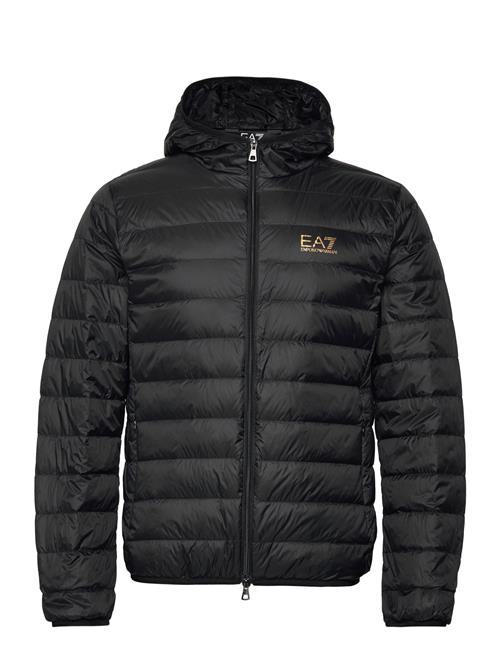 EA7 | Down Jacket | XL