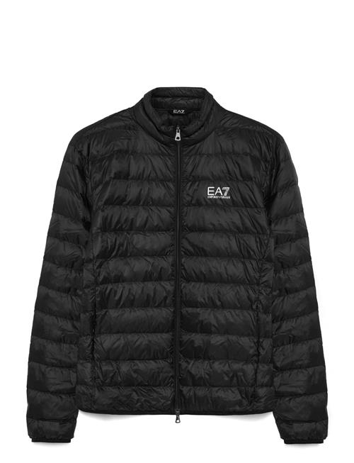 EA7 | Down Jacket | XL