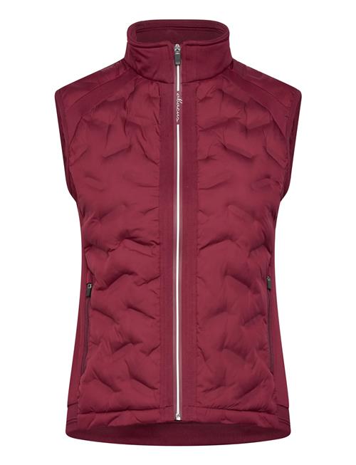 Abacus | Lds Portrush Hybrid Vest | S