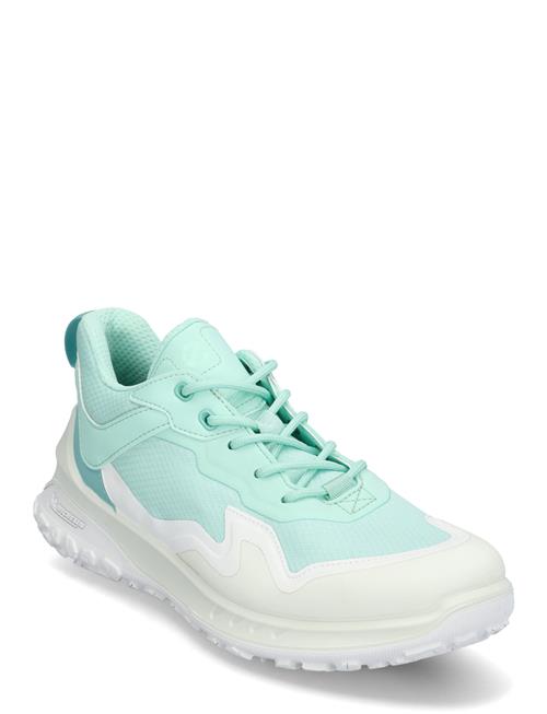 ECCO | Ult-Trn W | 38