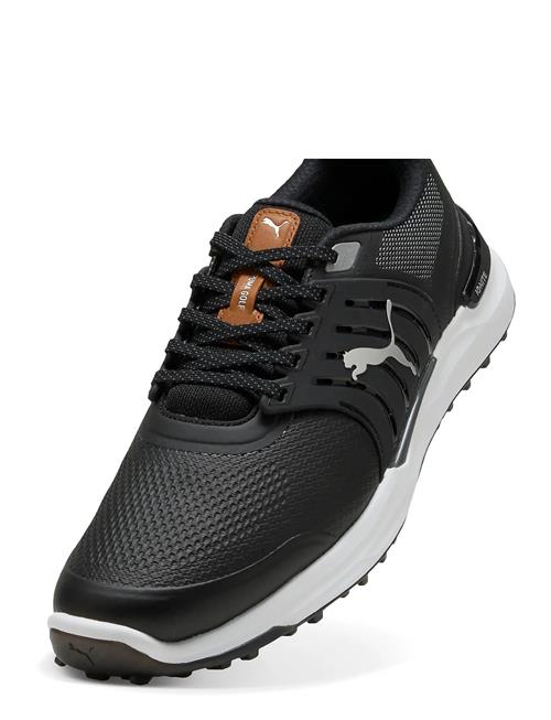 PUMA Golf | Ignite Elevate 2 | 40.5