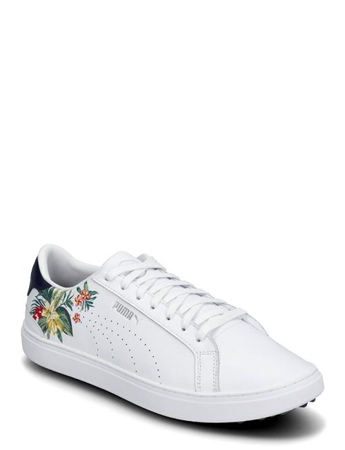 PUMA Golf | Puma Clyde G X Ptc | 43