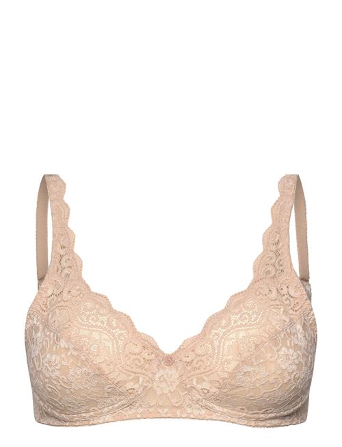 Triumph | Amourette N | D x 95