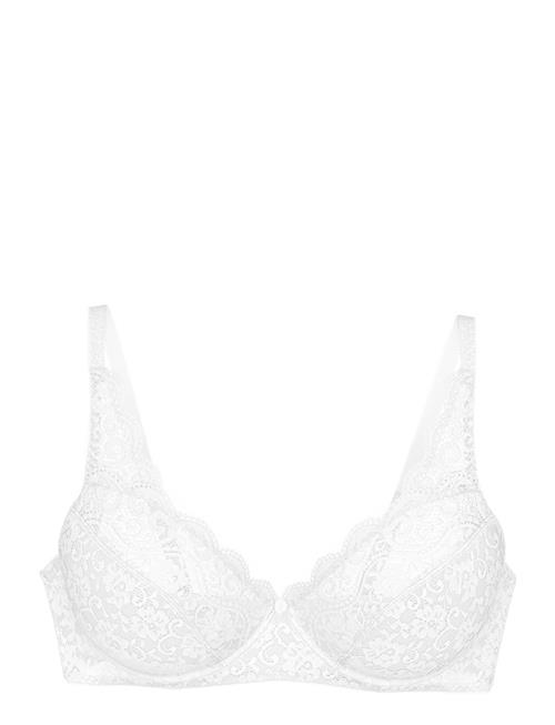 Triumph | Amourette N | B x 95