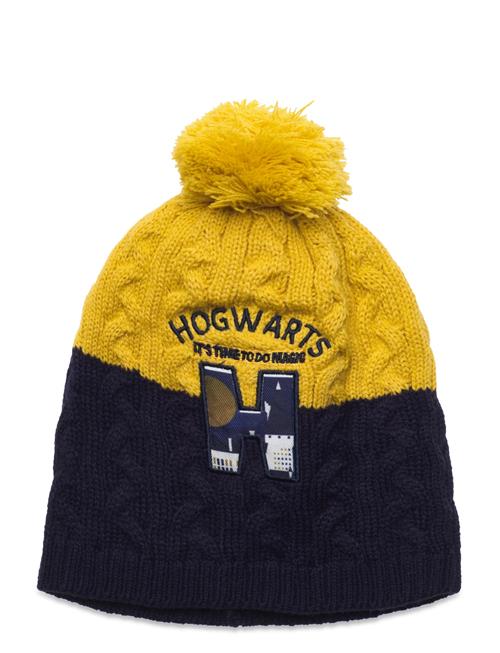 Harry Potter | Bonnet/Peruvien/Cagoule | 52