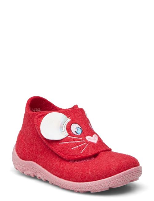 Superfit | Happy Octi | 22-13.7CM