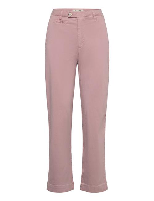 Pieszak | Pd-Anika Support Weekend Chino | 29 x 30