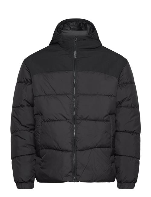 Jack & Jones | Jjmoon Hood Puffer | XXL
