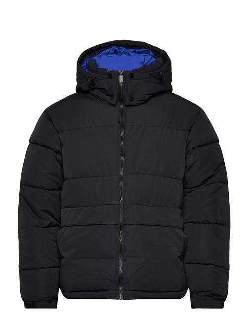 SIXTH JUNE | Essentiel Puff Printed Downjkt | L