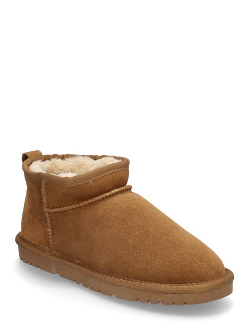 Exani | Ally Low W | 36