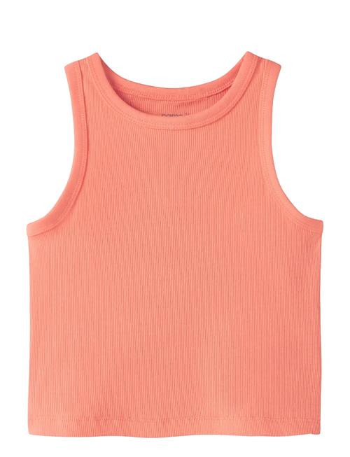 name it | Nkfnakal Sl Short Top Noos | 116