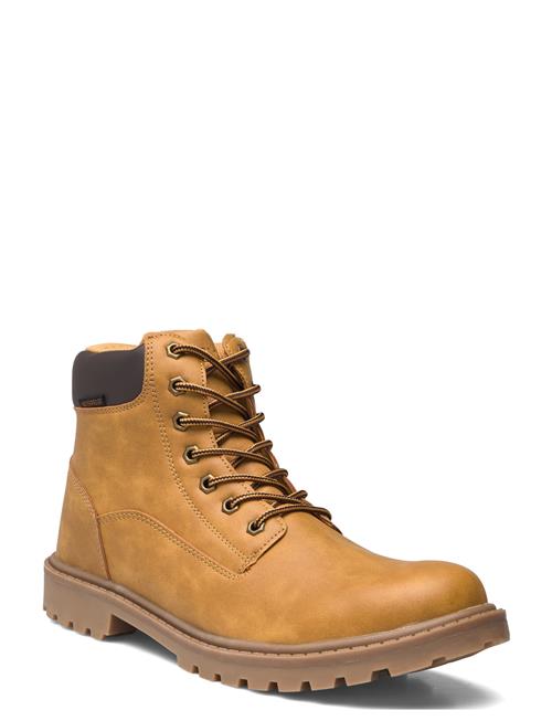 Exani | Kelton M | 41