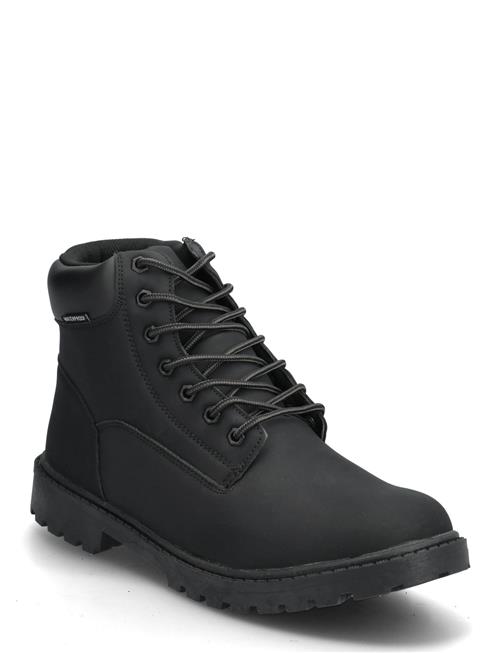 Exani | Kelton M | 41