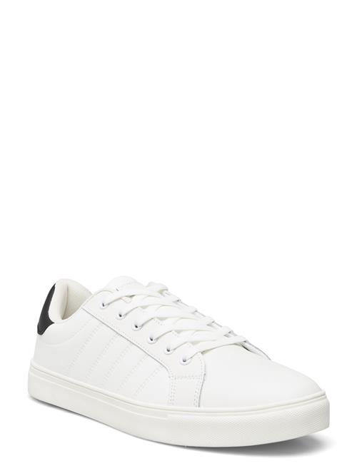 Exani | Percy M | 46