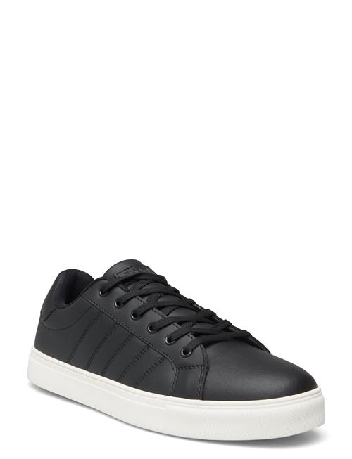 Exani | Percy M | 43