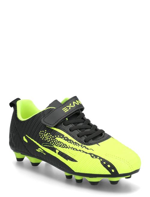 Exani | Matrix Jr | 36