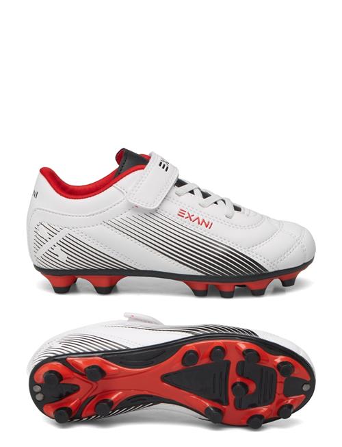 Exani | Matrix Jr | 32