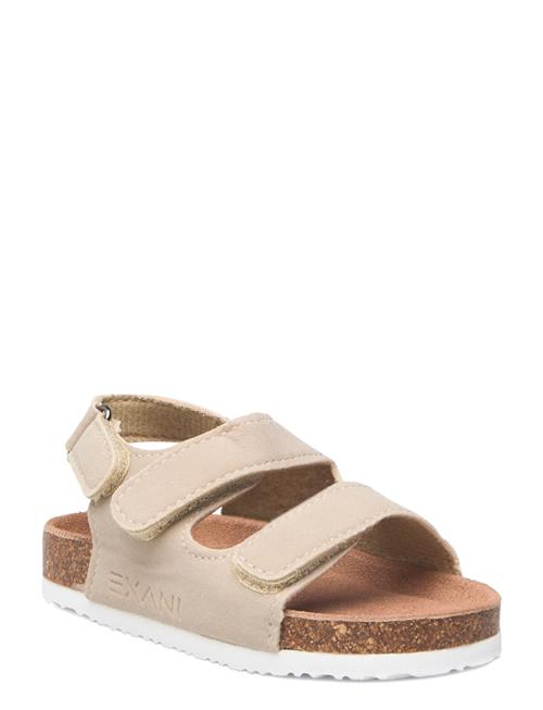 Exani | Spectra K | 29