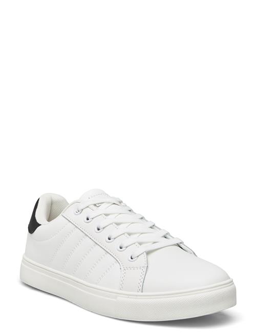 Exani | Percy W | 36