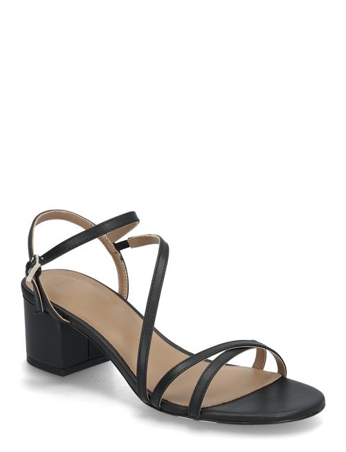 BOSS | Emberlyn_San50_Vc | 39