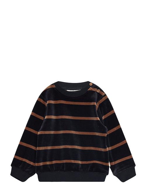 Minymo | Sweatshirt Ls Y/D Velour | 50