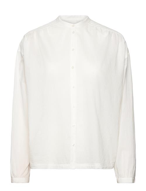 BOSS | C_Bizzan | 42