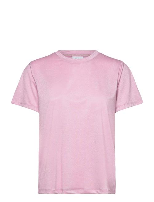 Saint Tropez | Hagasz Regular T-Shirt | M