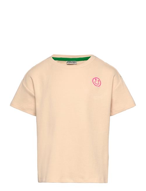 TUMBLE 'N DRY | Tnd Menton | 92