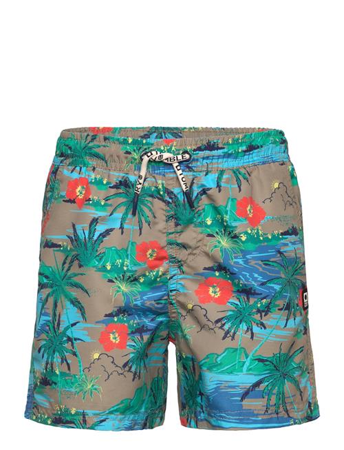 TUMBLE 'N DRY | Tnd Calvi | 92