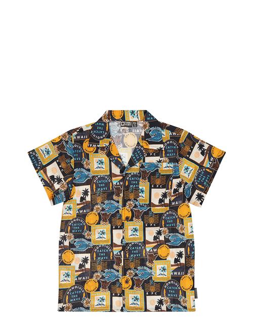 TUMBLE 'N DRY | Tnd Lacanau Palm | 116